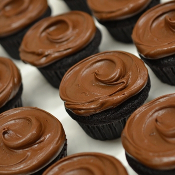 A photo of freshly baked Belgian chocolate cupcakes.