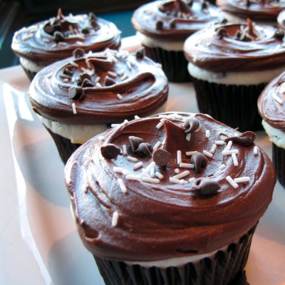 A photo of a vanilla cake with mini chocolate chips cupcake.
